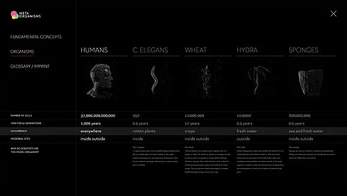 Eine Computergrafik mit verschiedenen Lebewesen