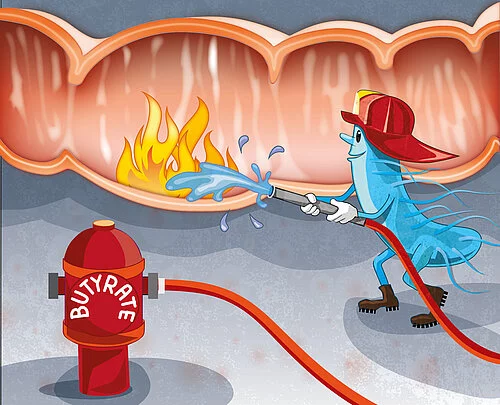 Fire fighting in the intestine