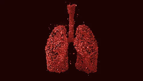 Eine Lunge in graphischer Form