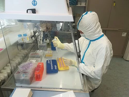 person working at a lab bench